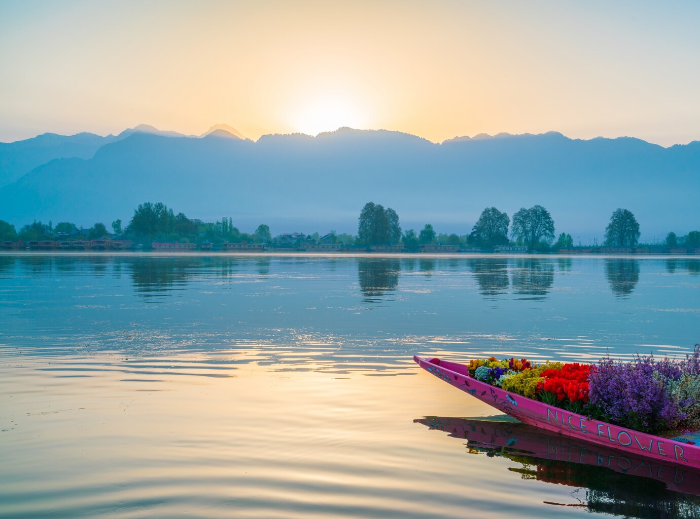 https://unsplash.com/@avidenov